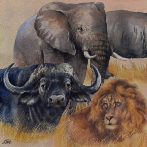 BIG FIVE:  CINCO GRANDES