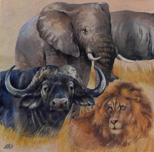 BIG FIVE:  CINCO GRANDES