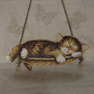 DREAMING CAT - GATO SOÑANDO