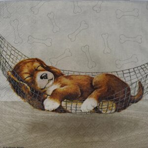DREAMINGS DOGS - PERRO SOÑANDO