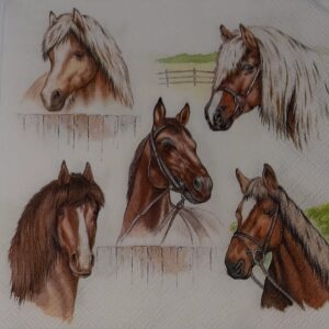 HORCE RANGIE - RANCHO DE CABALLOS