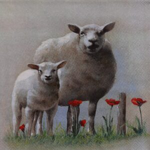 FRIEDA AND PAULA - FRIDA Y PAULA