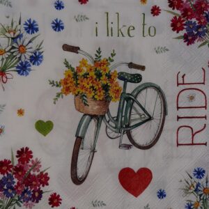 I LOVE MY BIKE - YO AMO MI BICICLETA