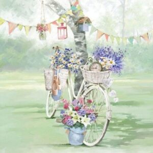 BIKE AGAINST TREE - BICICLETA CONTRA ARBOL