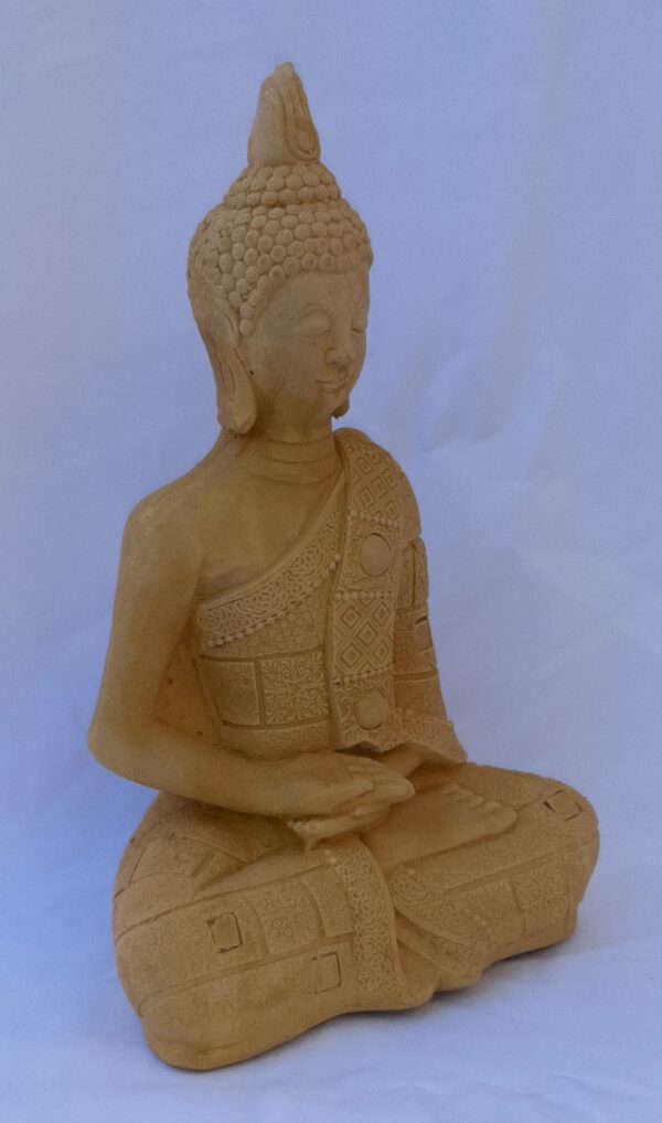 BUDA CON BOTONES