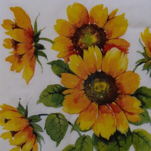 COLOURFUL SUNFLOWERS - GIRASOLES DE COLORES