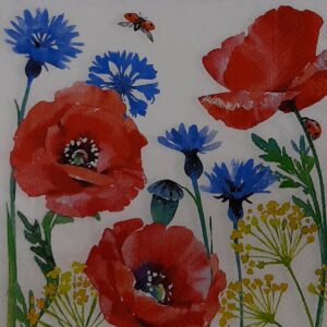 CORNFLOWER AND POPPY - ACIANO Y AMAPOLA