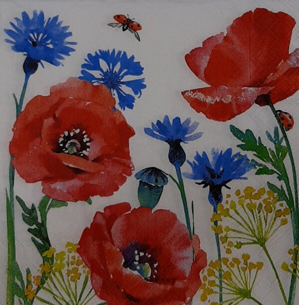 CORNFLOWER AND POPPY - ACIANO Y AMAPOLA