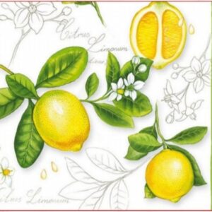 CITRUS -AGRIAS