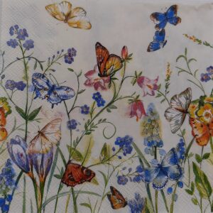 MARIPOSAS POSTAL