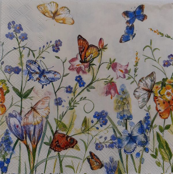 MARIPOSAS POSTAL