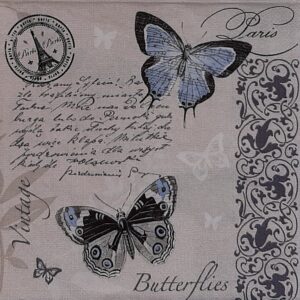 MARIPOSAS Y TEXTO