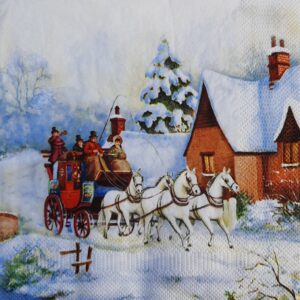 WINTER CARRIAGE RIDE - PASEO EN CARRUAJE DE INVIERNO
