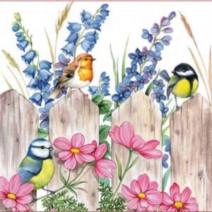BIRD ON FENCE - PÁJARO EN LA CERCA