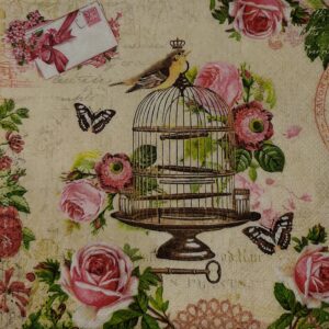 BIRD ON VINTAGE CAGE - PÁJARO EN JAULA VINTAGE