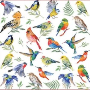 BIRDS VOTES - VOTOS DE AVES