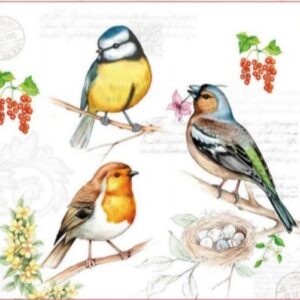 BIRDS ON TWIG - PÁJAROS EN RAMA