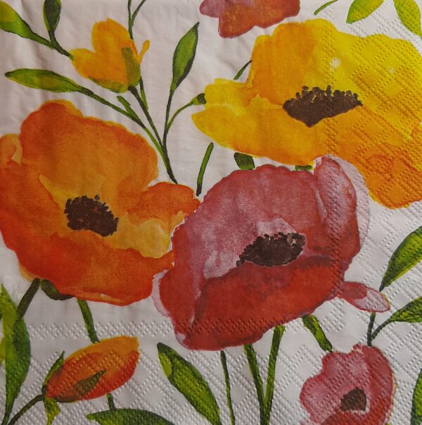 AQUARELL POPPY - POP DE ACUARELA